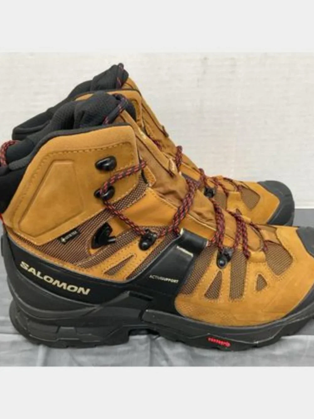 Salomon Mens Quest 4 GTX Waterproof Hiking Boot